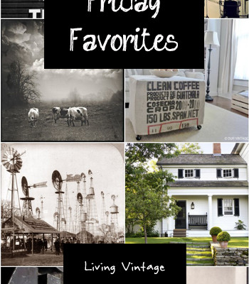 Friday Favorites #31