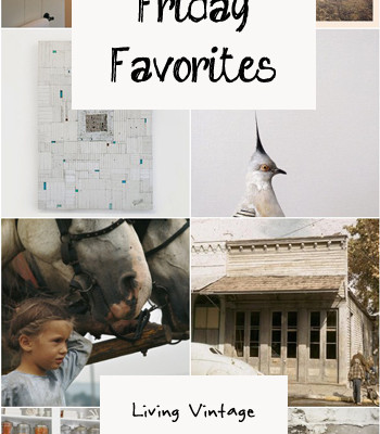 Friday Favorites #36