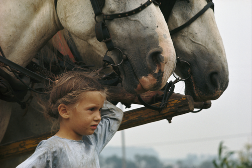 Funny how a little girl can control such powerful beasts - one of 8 picks for this week's Friday Favorites - Living Vintage