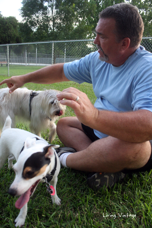 Our dogs at the dog park in Nacogdoches, TX