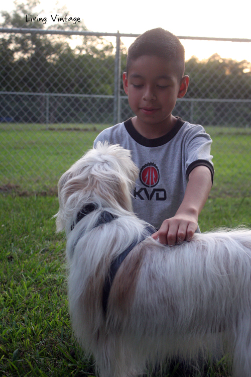 Our dogs at the dog park in Nacogdoches, TX