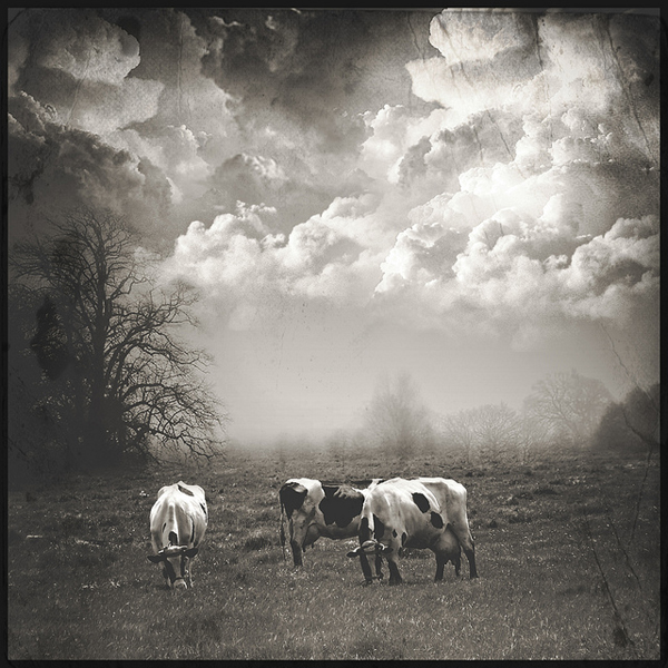 a pastoral scene - one of 8 picks for this week's Friday Favorites - Living Vintage