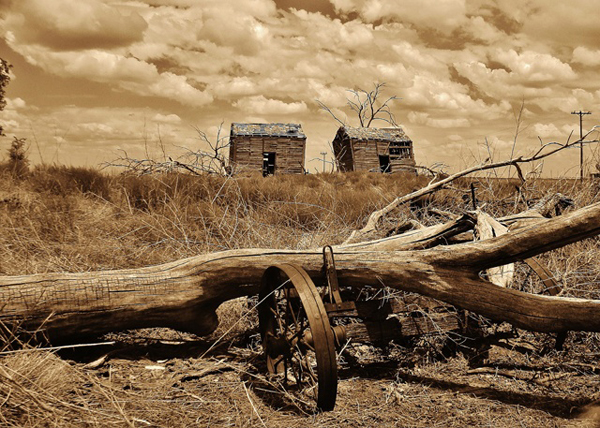 abandoned barns and wagon - one of 8 picks for this week's Friday Favorites - Living Vintage