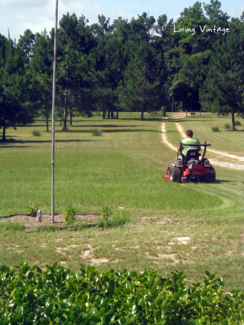 mowing our acreage in East Texas