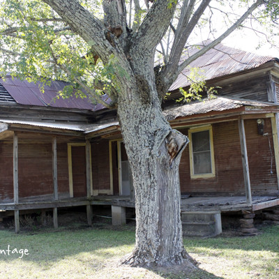 Abandoned Near Laneville