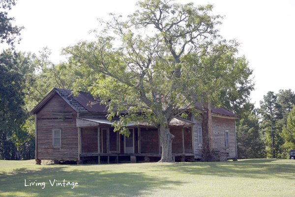 Abandoned Near Laneville, TX