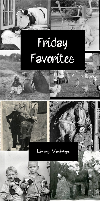 Friday Favorites in black and white - Living Vintage