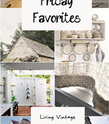 Friday Favorites #43