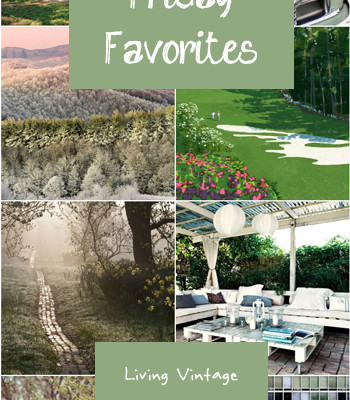 Friday Favorites #38