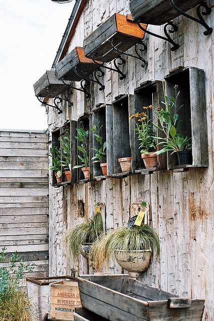 a neat way to display potted plants - one of 8 picks for this week's Friday Favorites