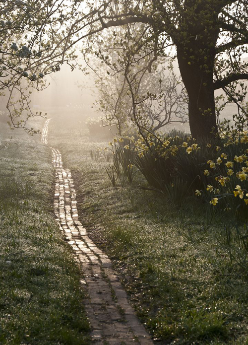 an orchard path at sunrise - one of 8 picks for this week's Friday Favorites