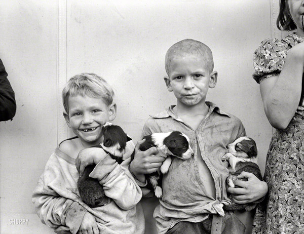 cotton picker's children with their puppies - one of 8 picks for this week's Friday Favorites