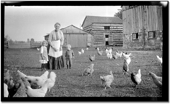 feeding her chickens - one of 8 picks for this week's Friday Favorites