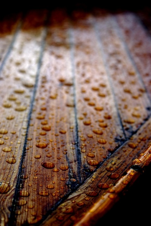raindrops on old wood