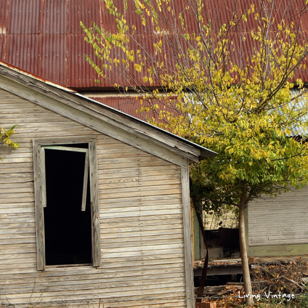 Abandoned on Highway 21