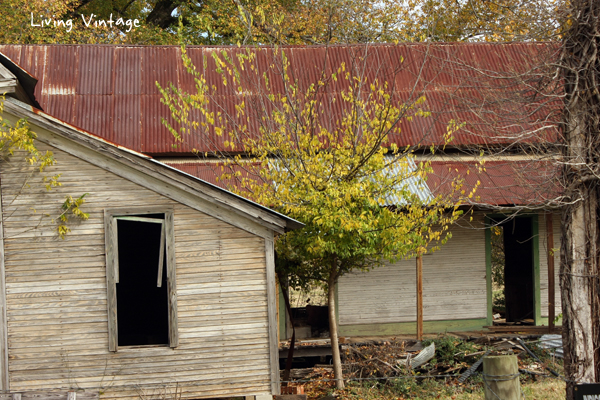 Abandoned on Highway 21