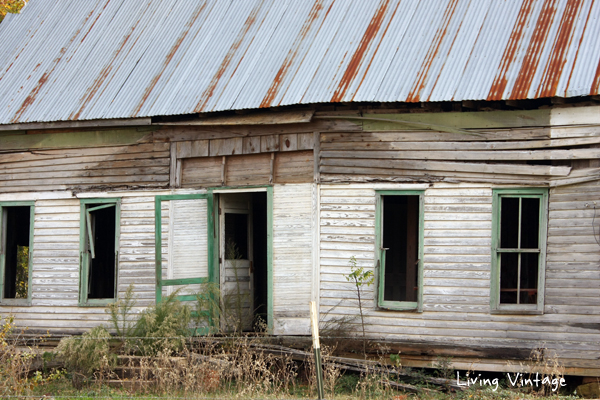Abandoned on Highway 21