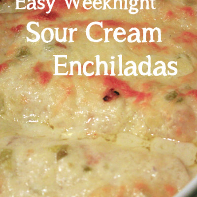 Sour Cream Chicken Enchiladas