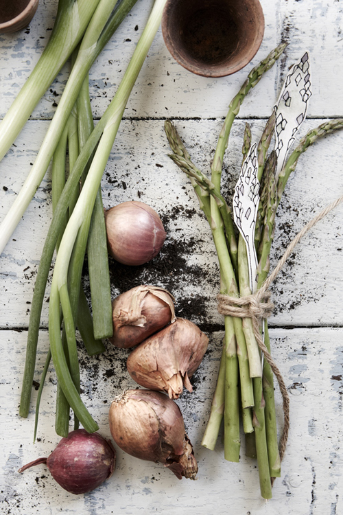 a beautiful shot of fresh foods - one of 8 picks for this week's Friday Favorites
