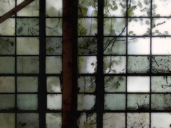 the green reflections on an industrial window - one of 8 picks for this week's Friday Favorites