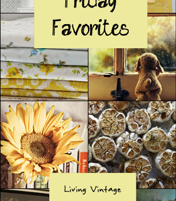 Friday Favorites #55