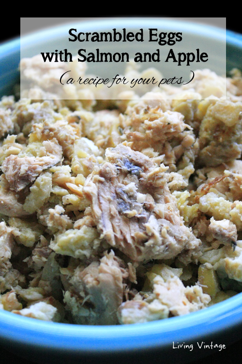 Scrambled Eggs with Salmon and Apple - a recipe from the Healthy Homemade Pet Food Cookbook