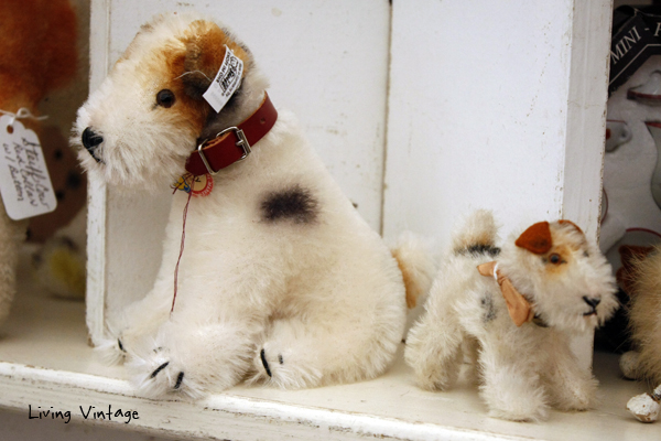 These little darlings were in Kaydee Cooper's booth at Marburger Farm