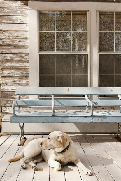 a beautiful bench on the porch of the Prairie, Rachel Ashwell's Texas retreat - one of 8 picks for this week's Friday Favorites