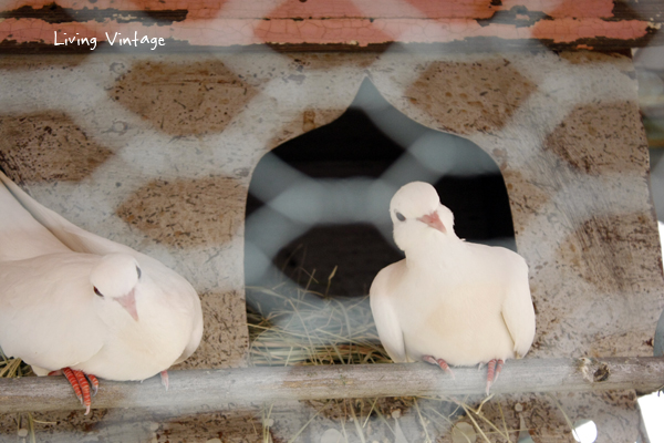 a dovecote complete with two doves in Willow Nest's booth