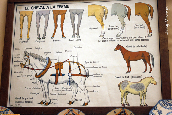 a horse poster caught my eye at Marburger Farm Antique Show