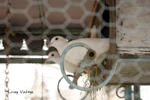 two beauties in Willow Nest's booth