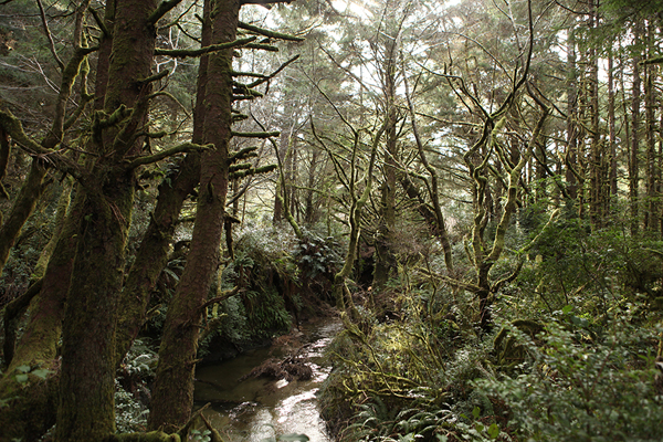 untouched beauty at the Washburn State Park - one of 8 picks for this week's Friday Favorites