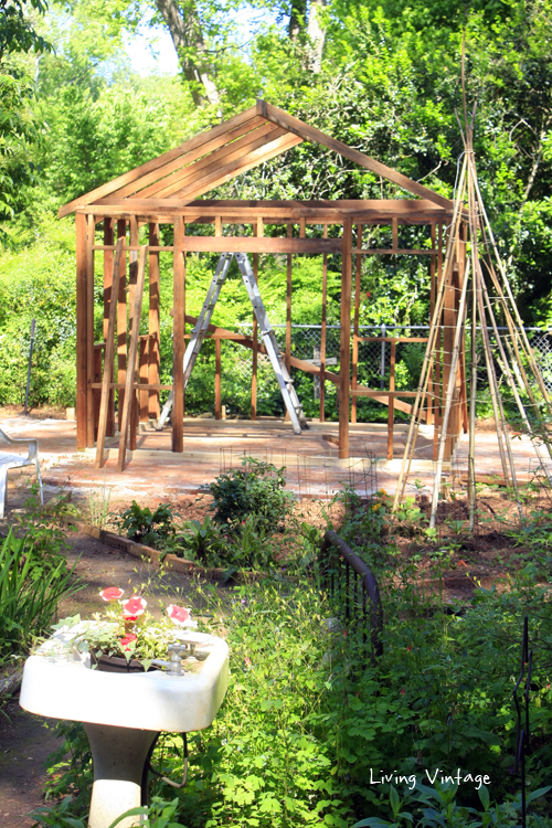 Jenny's shed is coming together