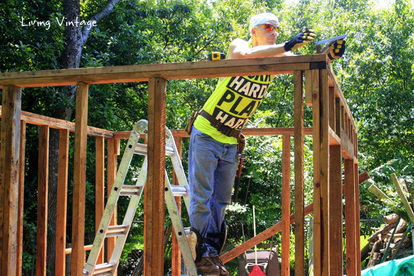 framing Jenny's shed