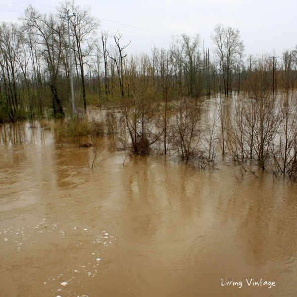 flooding in East Texas