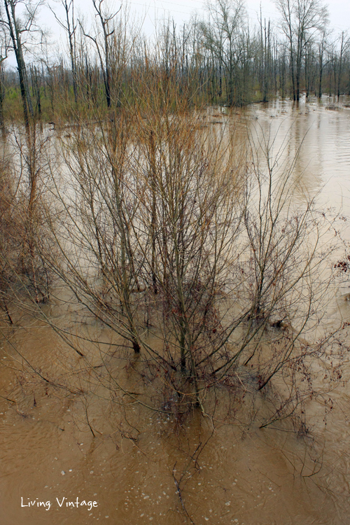 flooding in East Texas