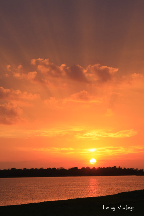 a vivid orange sunset