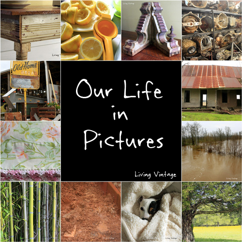 Our Life in Pictures - chapter two