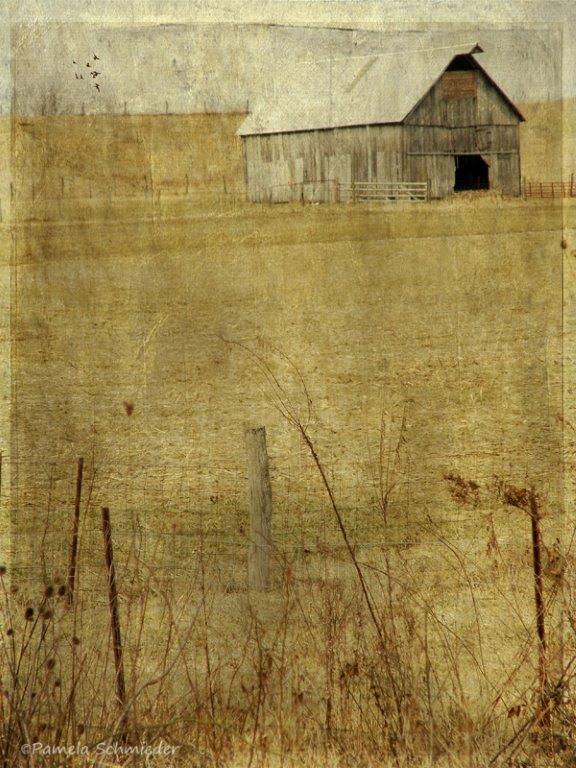 a beautiful image of a sheep barn - one of 8 picks for this week's Friday Favorites