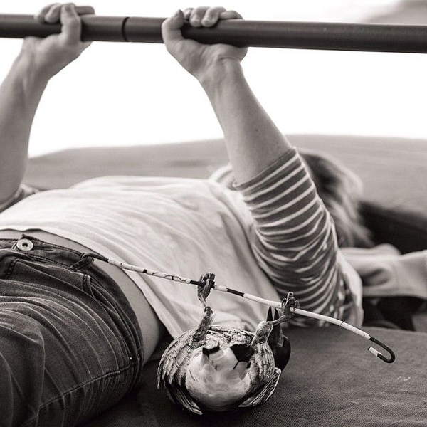 exercising with family -- such a heartwarming story of Penguin the Magpie