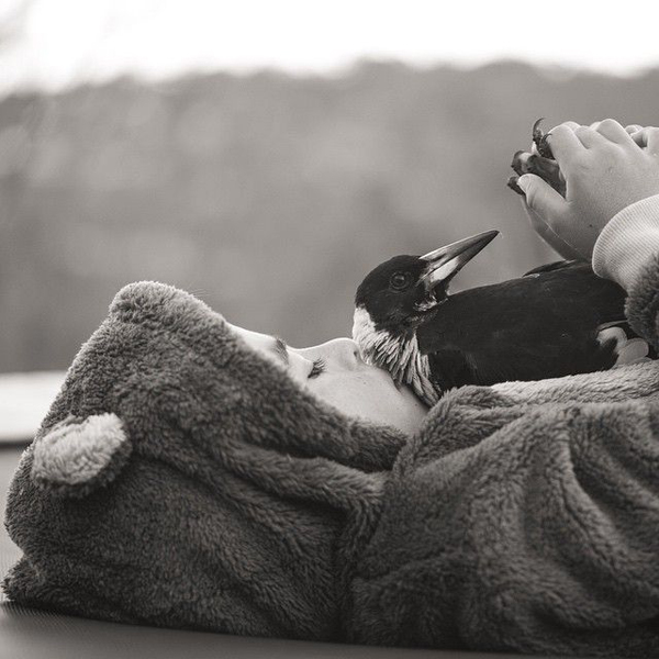 love between a boy and bird -- such a heartwarming story of Penguin the Magpie