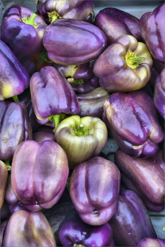 pretty purple bell peppers - one of 8 picks for this week's Friday Favorites