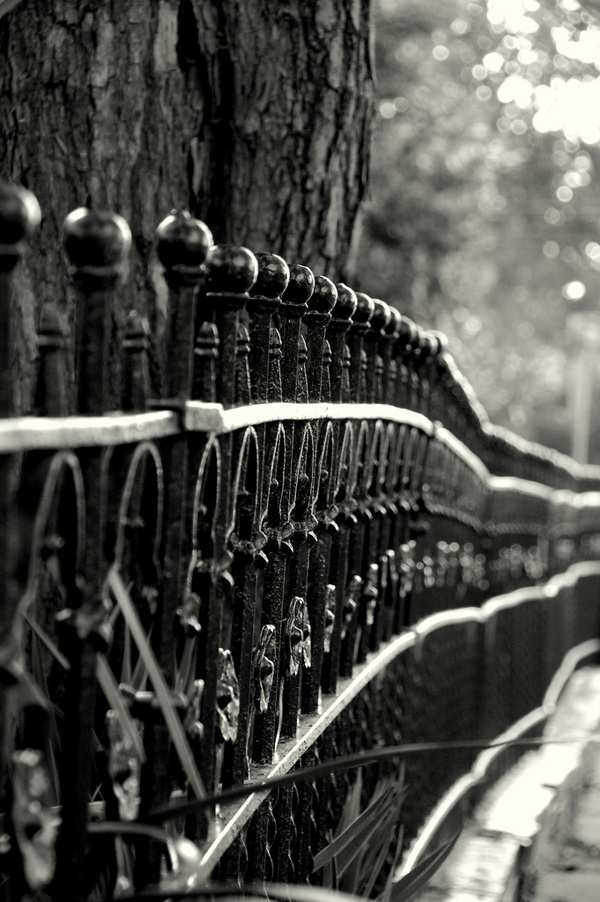 a gorgeous wrought iron fence -- one of 8 picks for this week's Friday Favorites