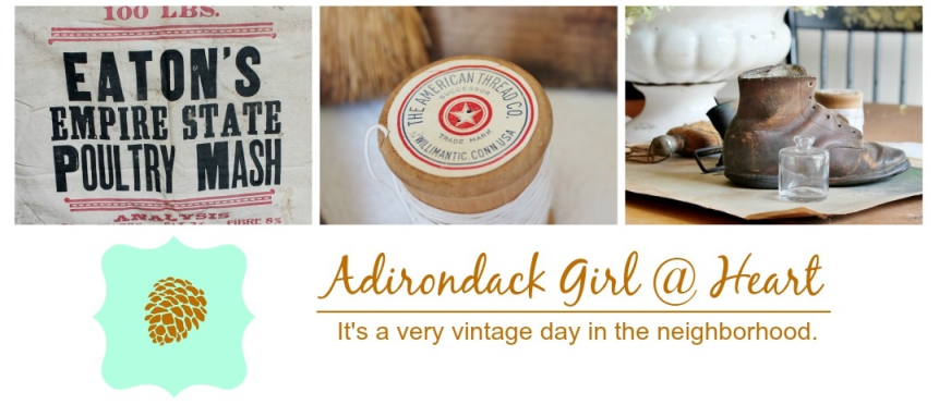 Adirondack Girl at Heart's blog header