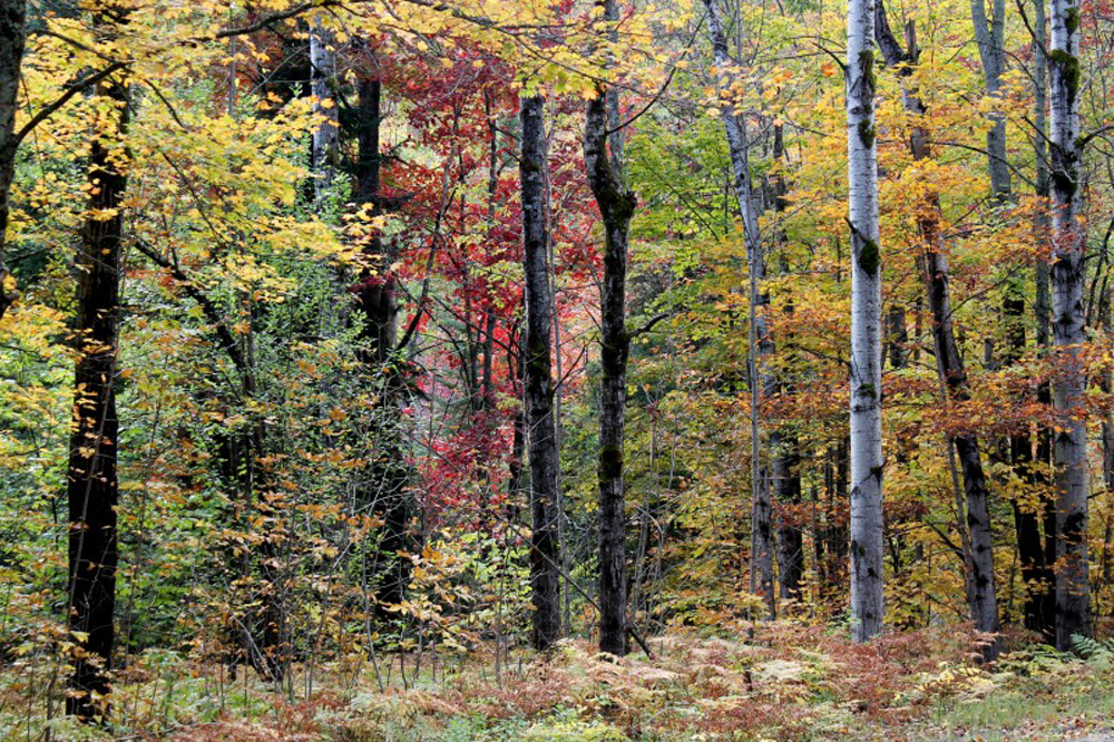 Adirondack Mountains in Upstate New York 