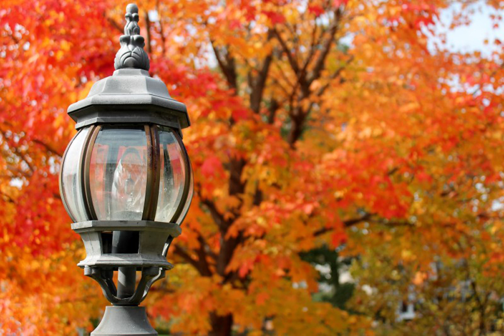 Autumn in upstate New York - 1000 pixels