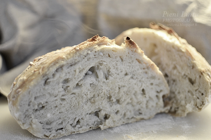 If this photo doesn't make you crave fresh-baked bread, I don't know what will. -- one of 8 picks for this week's Friday Favorites