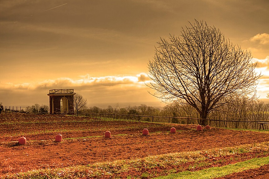 Thomas Jefferson's garden ready and waiting for Spring - one of 8 picks for this week's Friday Favorites