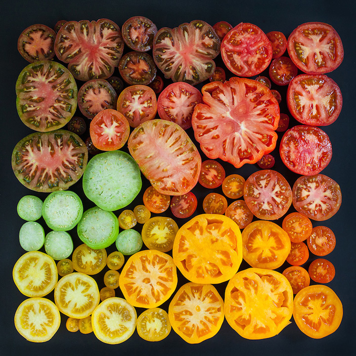 a vibrant, artful arrangement of tomatoes - one of 8 picks for this week's Friday Favorites