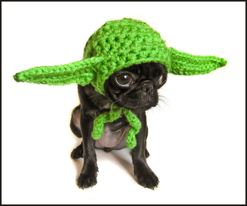an adorable little Yoda - see more hilarious dogs in costumes at Living Vintage